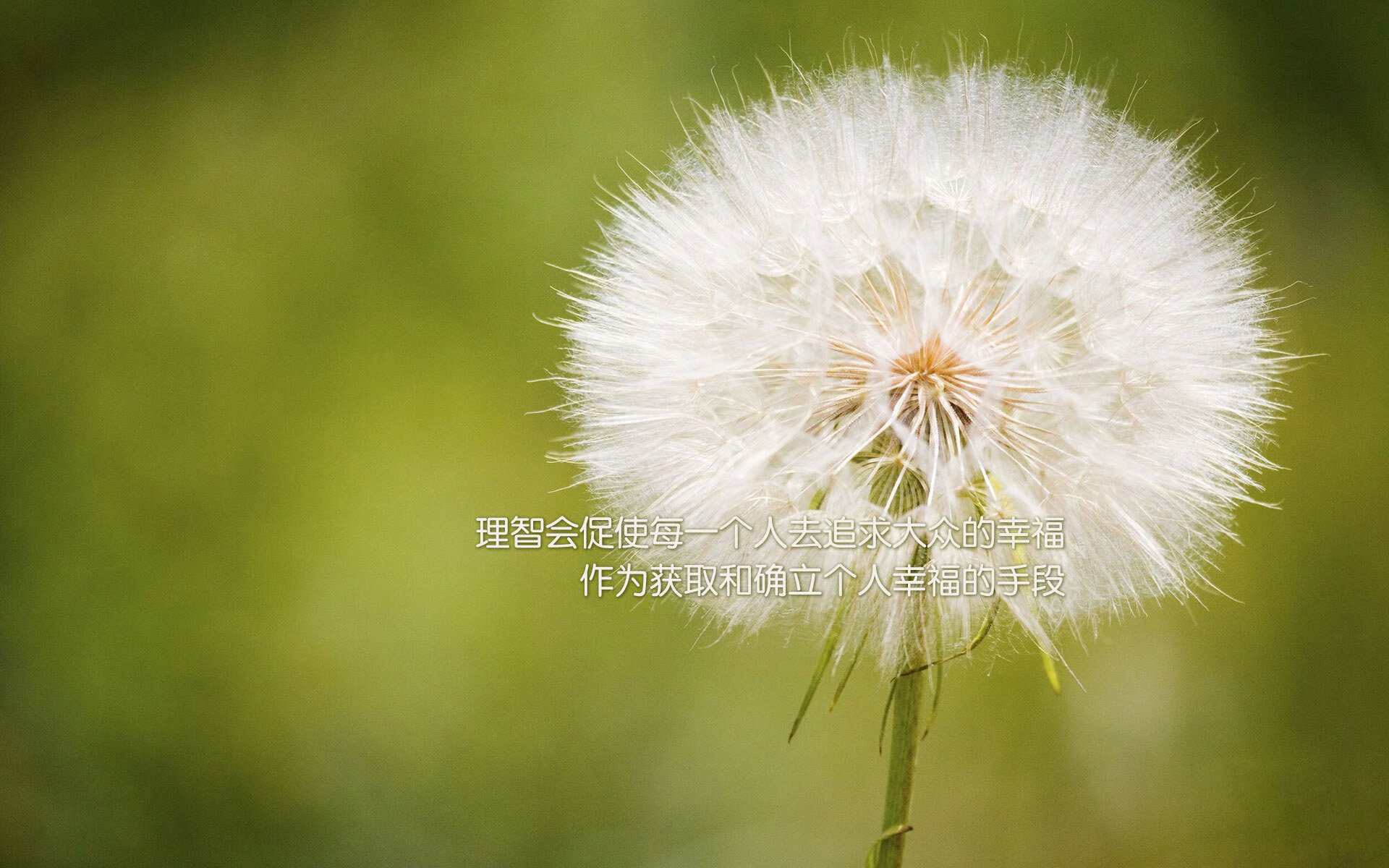 开云中国-未来“足球王者”即将诞生，谁能称王？，未来足坛
