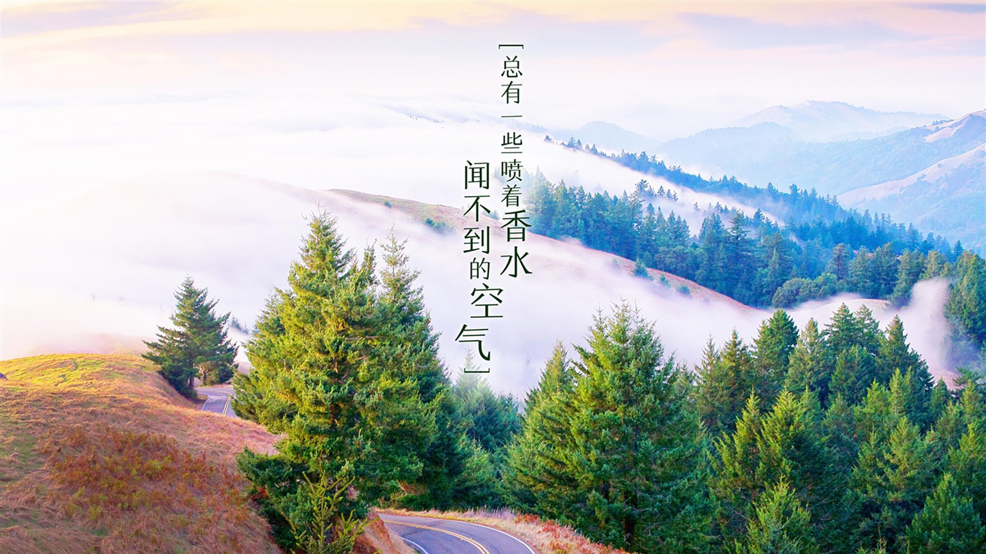 开云体育视频直播-海耶斯执教首赛季即带领美国女足问鼎奥运，海耶vs