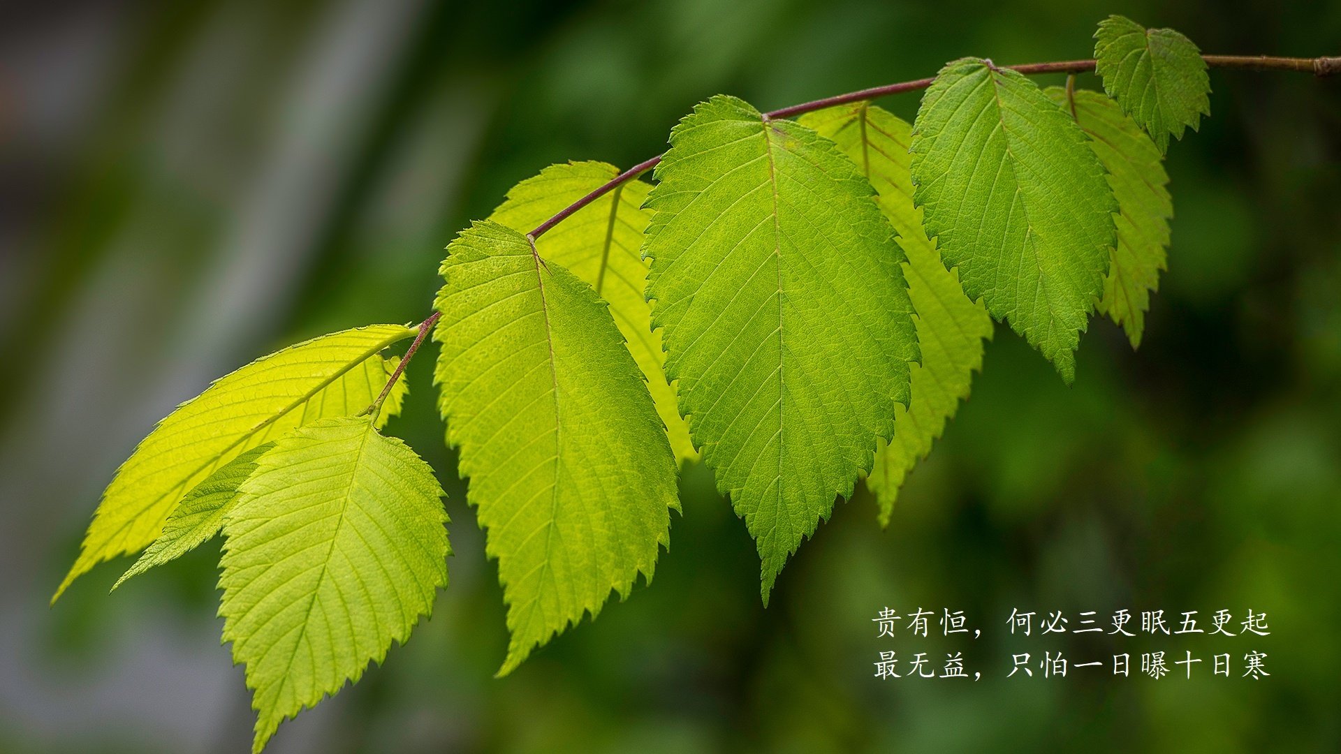 kaiyun体育app-柏林赫塔全队备战，雄心勃勃期待接下来的比赛，柏林赫塔比赛视频聚胜顽球汇