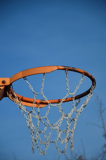 开云网站-NBA球队球员培养规划设计，nba对球员的要求是什么