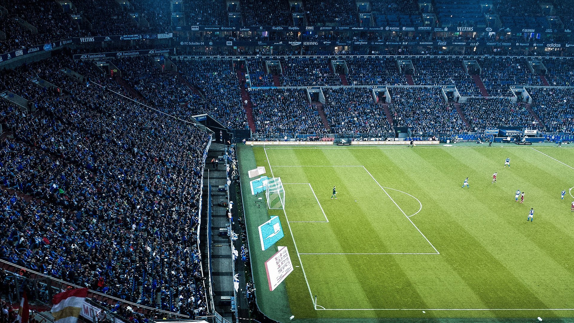 凯尔特人开发球迷互动战术模拟器，主场观赛更沉浸，凯尔特人开球仪式